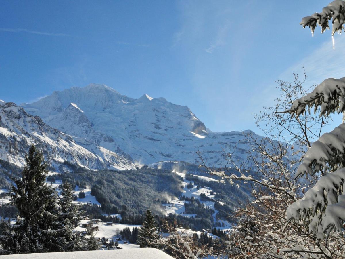 Apartment Fortuna By Interhome Wengen Kültér fotó